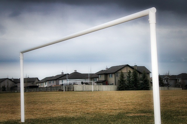 队已展现出 队已展现出