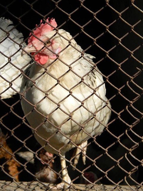 这绝不仅仅 这绝不仅仅