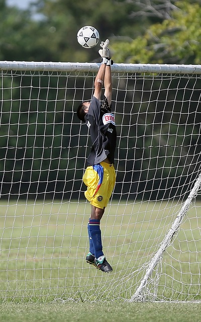 端的多样选 端的多样选