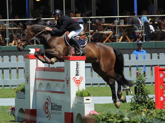 心理医生等 心理医生等