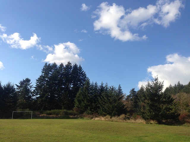 再次遭遇困
